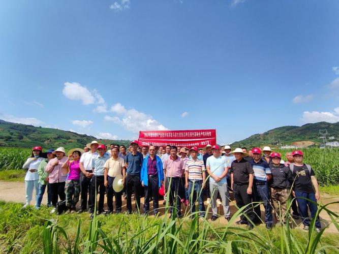 中国热带农业科学院生物技术研究所杨本鹏研究员,临沧市甘蔗技术推广